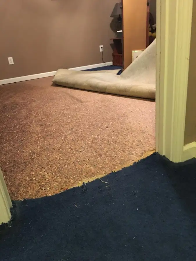 Carpet pad removal revealing water damage during Drying & Dehumidification in East Ridge