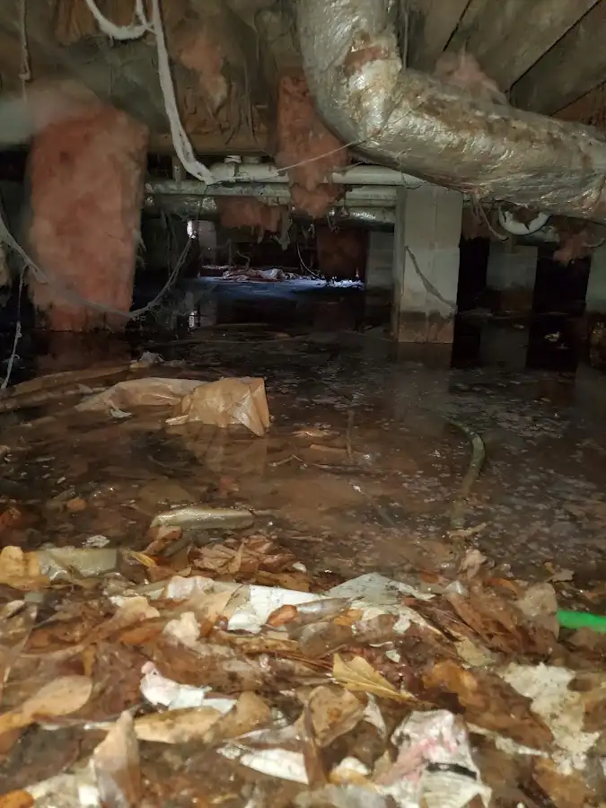 Crawl space flood assessment for Leak Detection & Repair in East Ridge